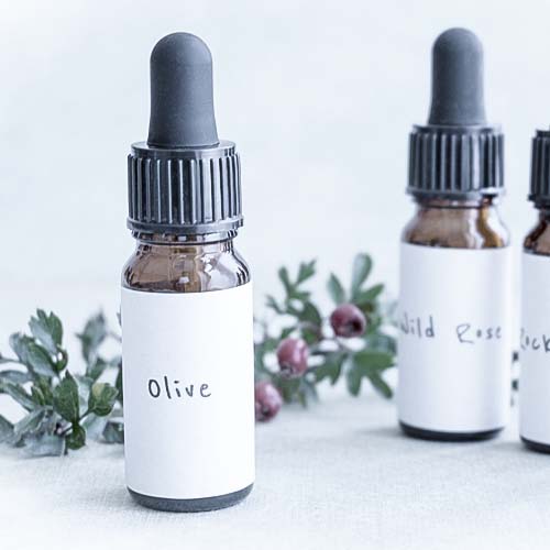 flacon Fleurs de Bach  pharmacie Hache